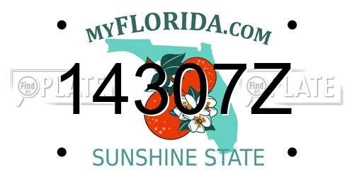 14307Z Florida License Plate
