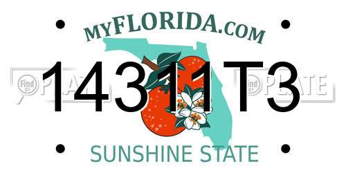 14311T3 Florida License Plate