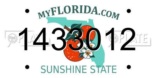 1433012 Florida License Plate