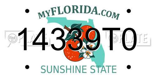14339T0 Florida License Plate