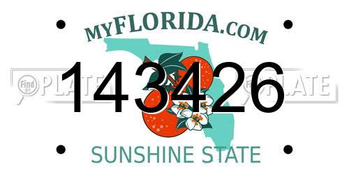 143426 Florida License Plate