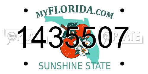 1435507 Florida License Plate