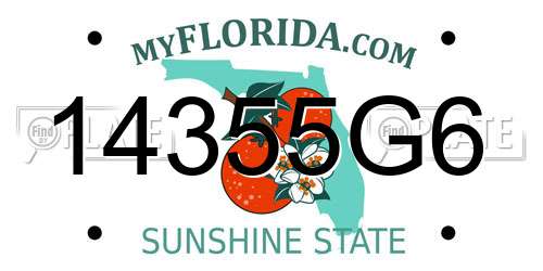 14355G6 Florida License Plate