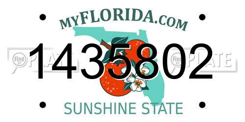 1435802 Florida License Plate