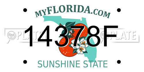 14378F Florida License Plate