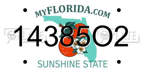 14385O2 Florida License Plate