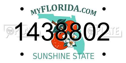 1438802 Florida License Plate