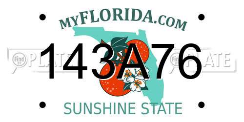 143A76 Florida License Plate
