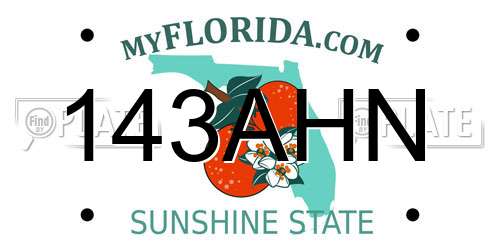 143AHN Florida License Plate