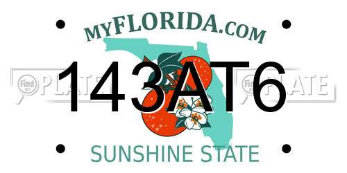 143AT6 Florida License Plate