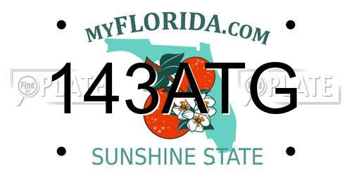 143ATG Florida License Plate