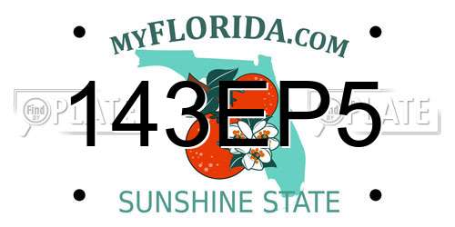 143EP5 Florida License Plate