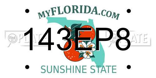 143EP8 Florida License Plate
