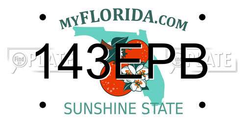 143EPB Florida License Plate