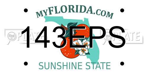 143EPS Florida License Plate