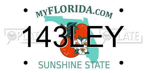143LEY Florida License Plate