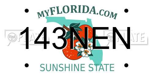 143NEN Florida License Plate