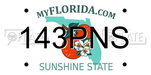 143PNS Florida License Plate