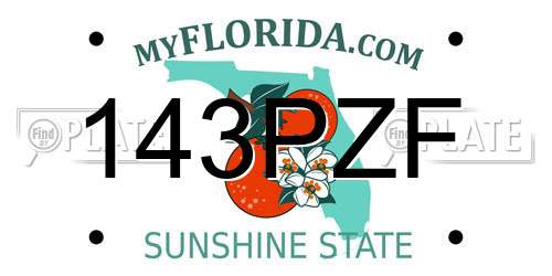 143PZF Florida License Plate