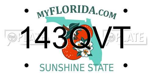 143QVT Florida License Plate