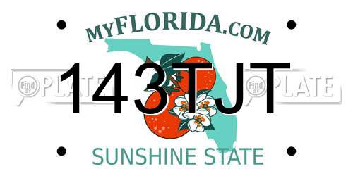 143TJT Florida License Plate
