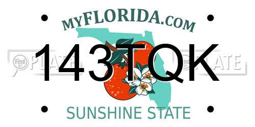 143TQK Florida License Plate