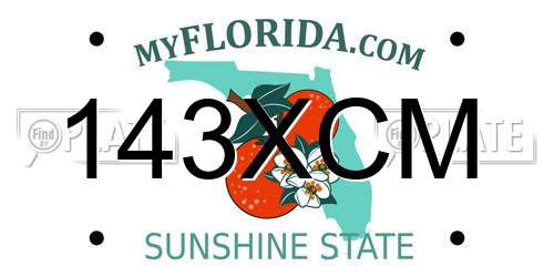 143XCM Florida License Plate