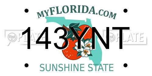 143YNT Florida License Plate
