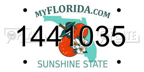 1441035 Florida License Plate