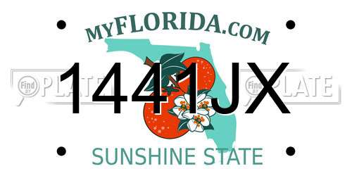 1441JX Florida License Plate