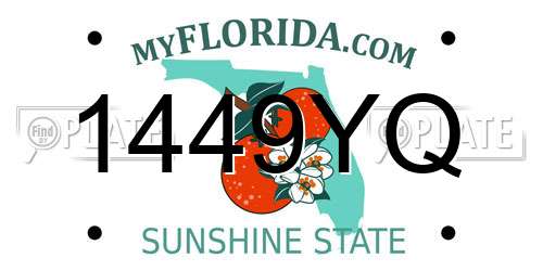 1449YQ Florida License Plate