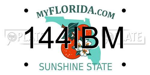 144IBM Florida License Plate