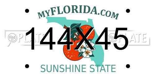 144X45 Florida License Plate