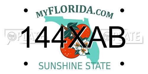 144XAB Florida License Plate