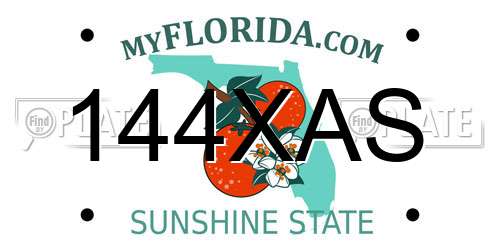 144XAS Florida License Plate