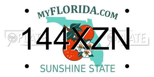 144XZN Florida License Plate
