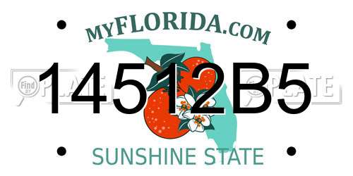 14512B5 Florida License Plate