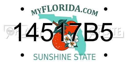 14517B5 Florida License Plate