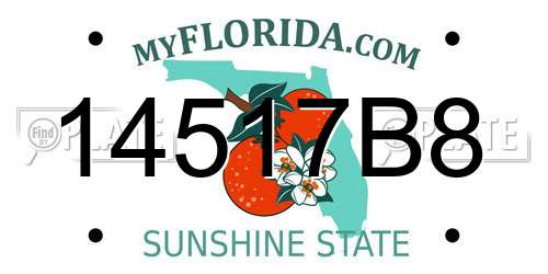 14517B8 Florida License Plate