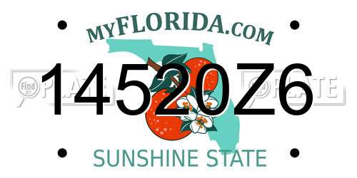 14520Z6 Florida License Plate