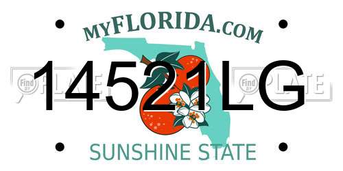 14521LG Florida License Plate