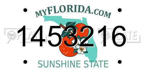 1453216 Florida License Plate