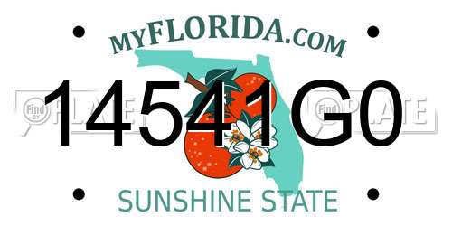 14541G0 Florida License Plate