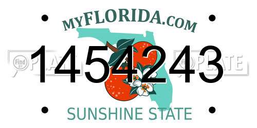 1454243 Florida License Plate