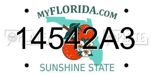 14542A3 Florida License Plate