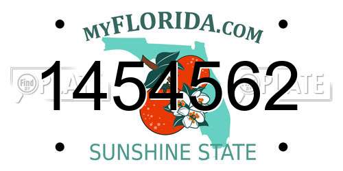 1454562 Florida License Plate