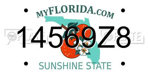 14569Z8 Florida License Plate
