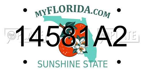 14581A2 Florida License Plate
