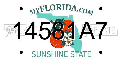 14581A7 Florida License Plate