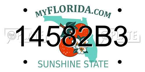 14582B3 Florida License Plate